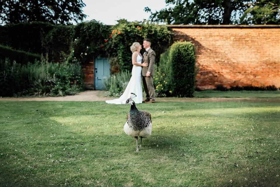 Couple portraits