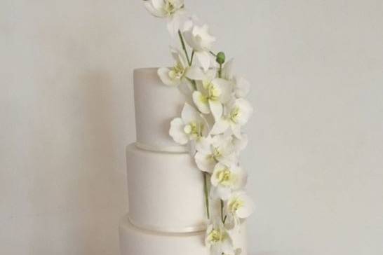 Suzy Blake Cake Atelier