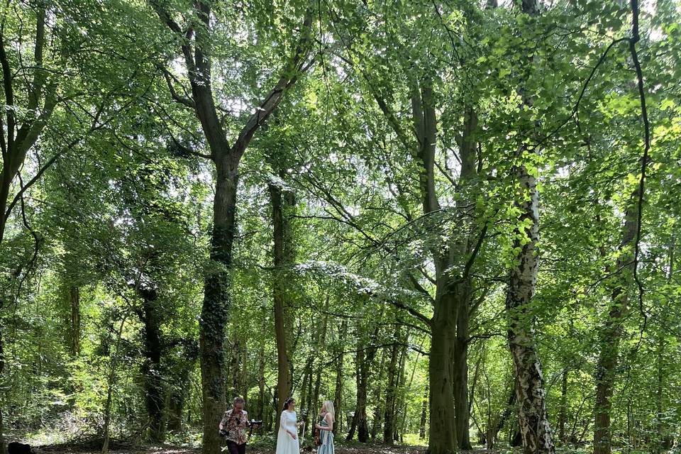 Lovely bride