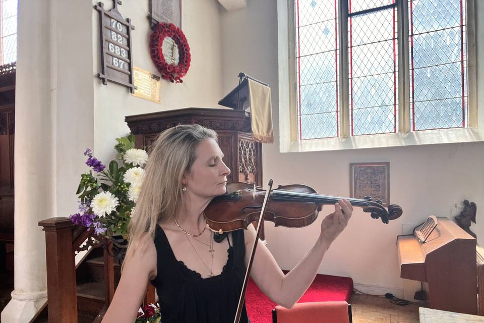 Saltmarsh Strings - Solo Violin, Trio and Quartet