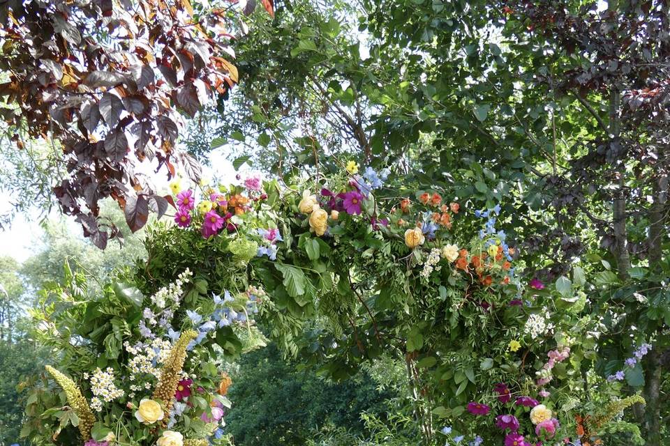 Full Arch
