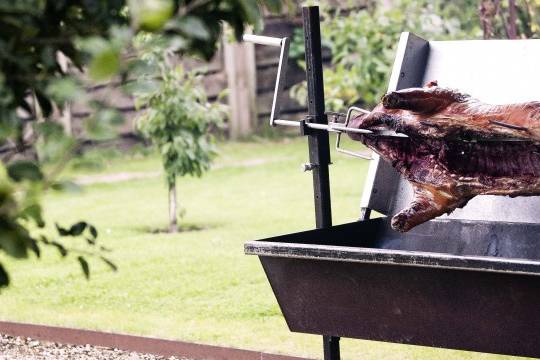 Charcoal Hog Roast