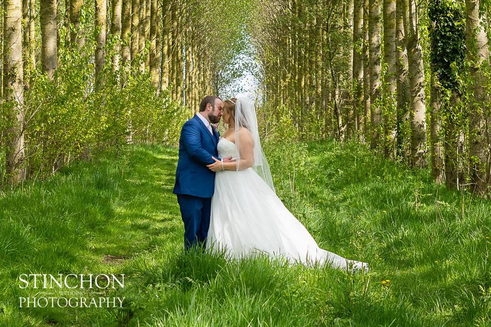 Poplar Trees Posed Photo