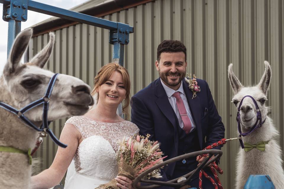 Wellbeing Farm Wedding