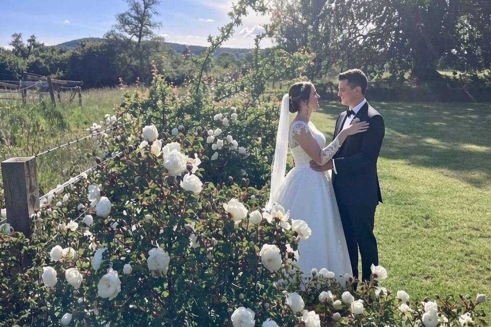Rose garden