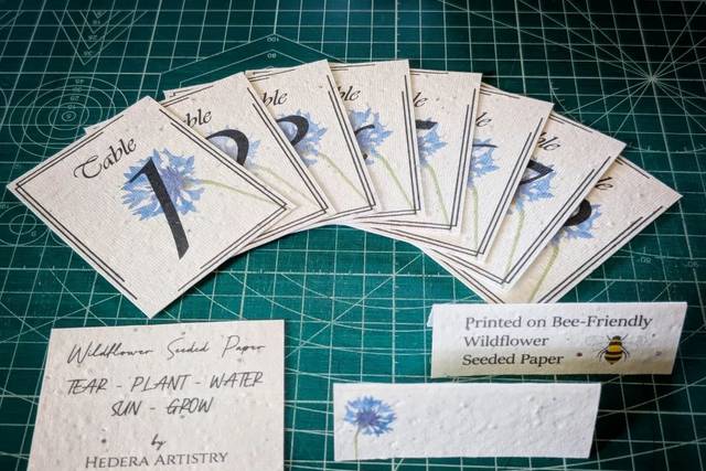 Plantable Seeded Table Numbers