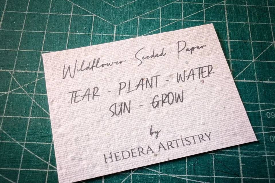Tear-Plant-Water-Sun-Grow