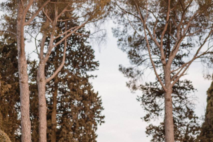 giandomenico-cosentino-44_2_43289-174714296080611