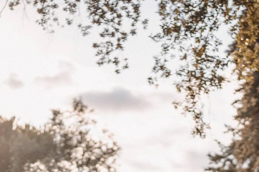 giandomenico-cosentino-64_2_43289-174714296169840