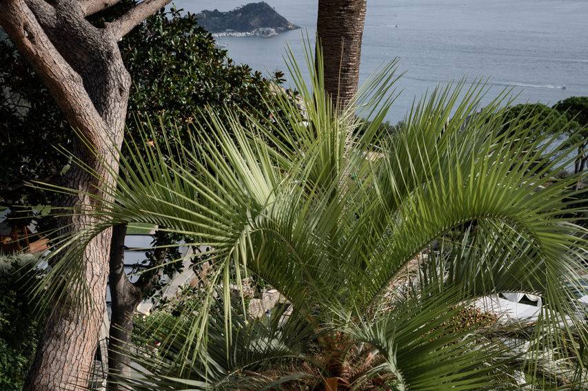 giandomenico-cosentino-8_2_43289-174714296055757