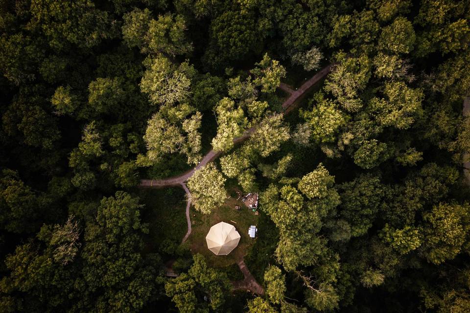 Aerial view of the woods