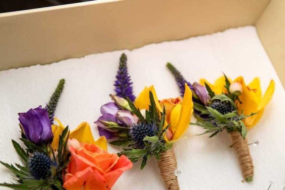 Colourful Buttonholes