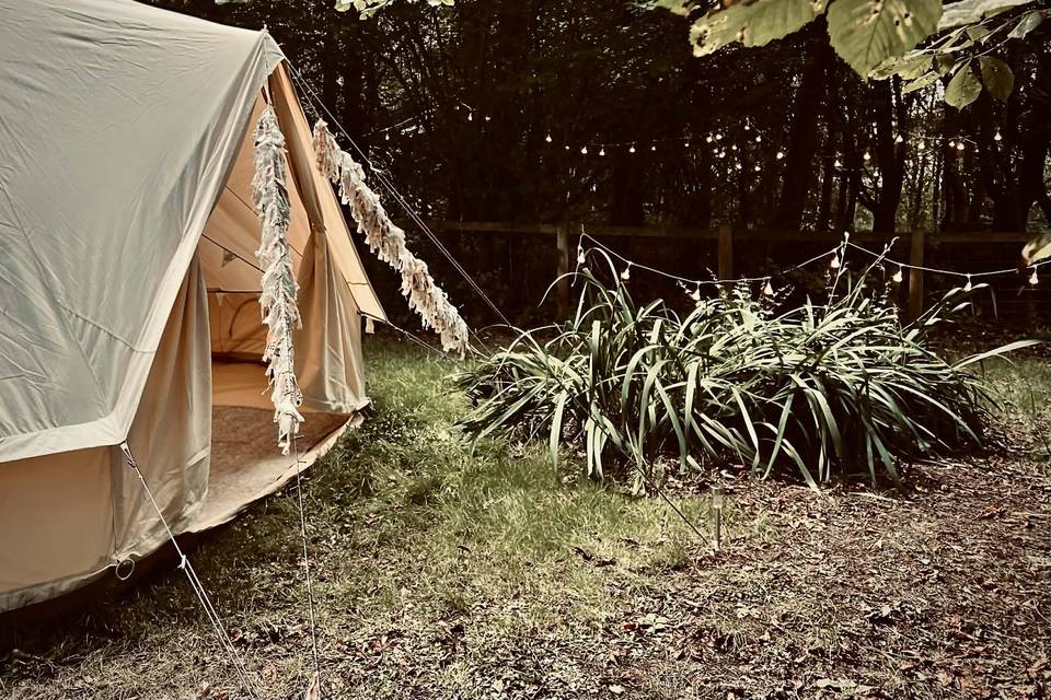 Woodland