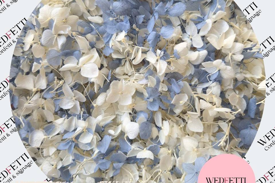 Petite hydrangea mix