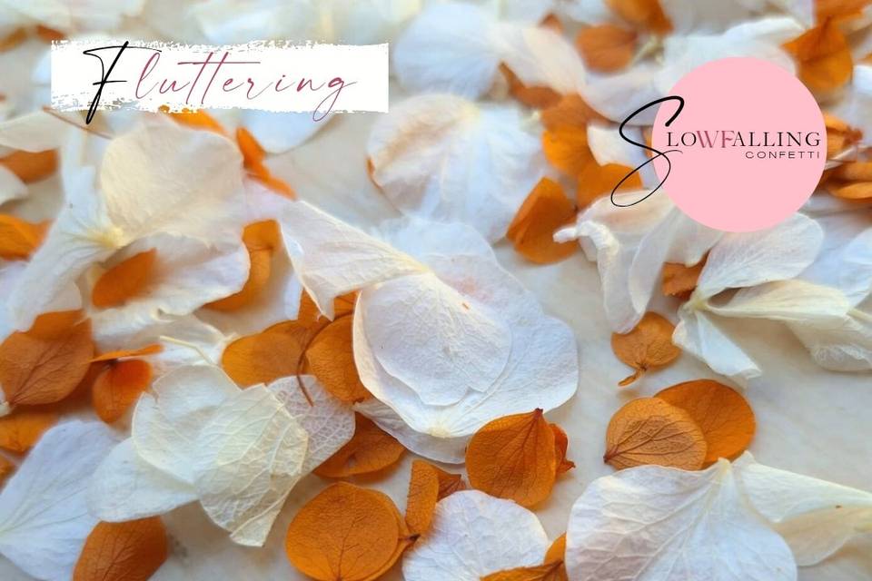 Burnt Orange petal mix