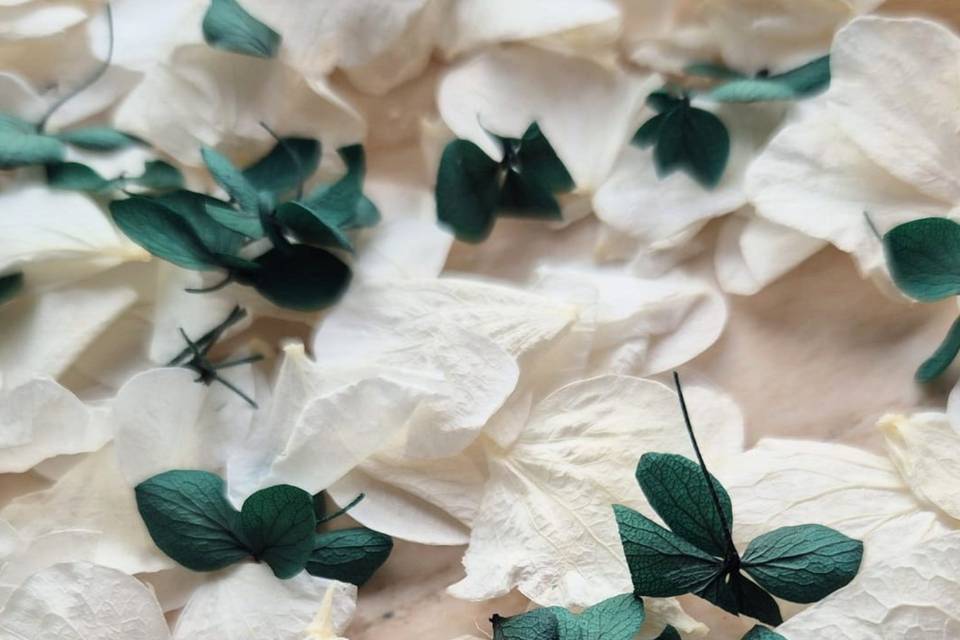 Hydrangea petal mix