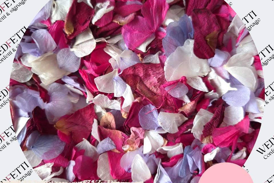 Hydrangea Fuschia petals