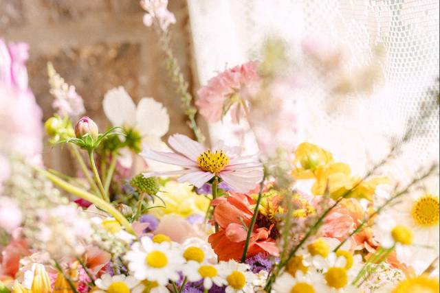 Shropshire Wedding