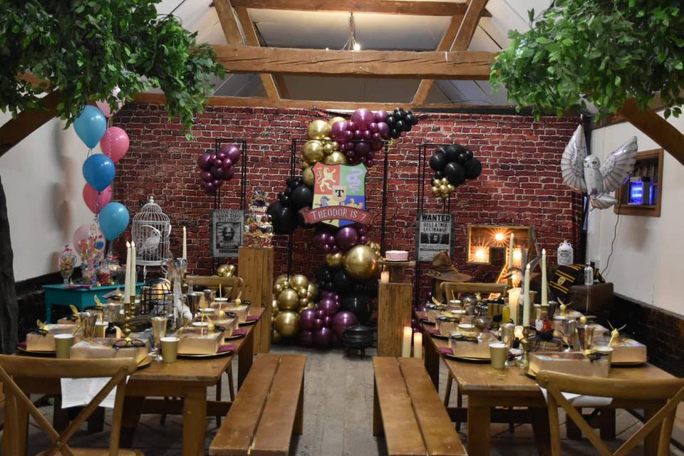 Harry potter theme kids party