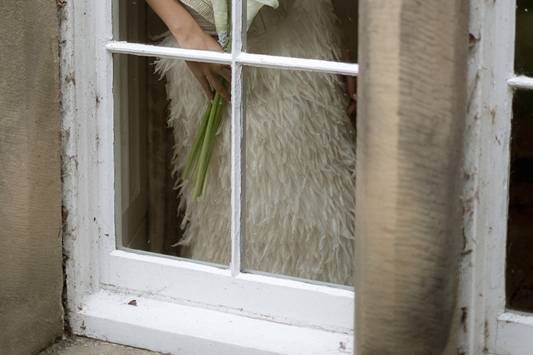 Garden Room Window