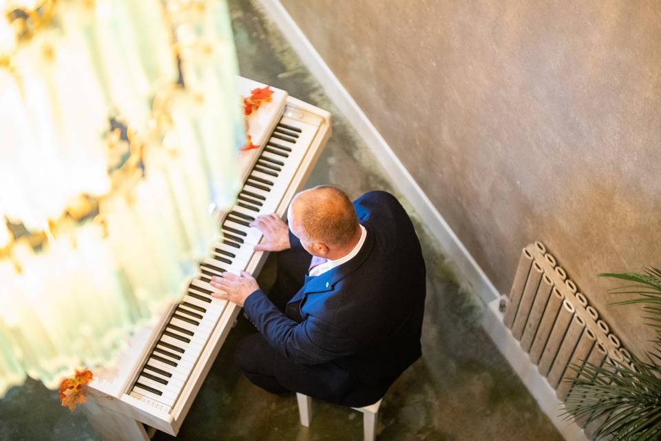 high angle shot pianist at white piano with foliage