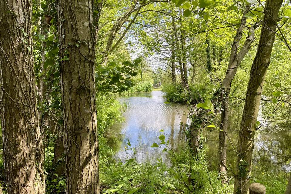 Natural Pond