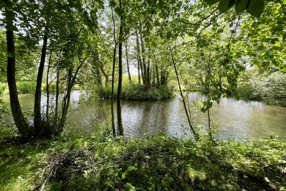 Natural pond