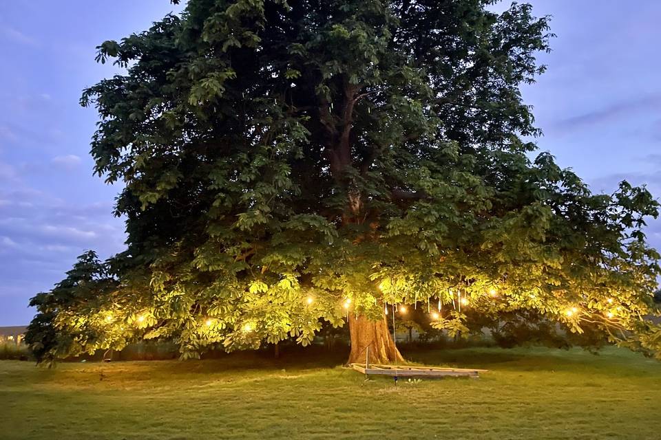 Wedding party field