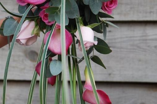 Pink Calla Cascade