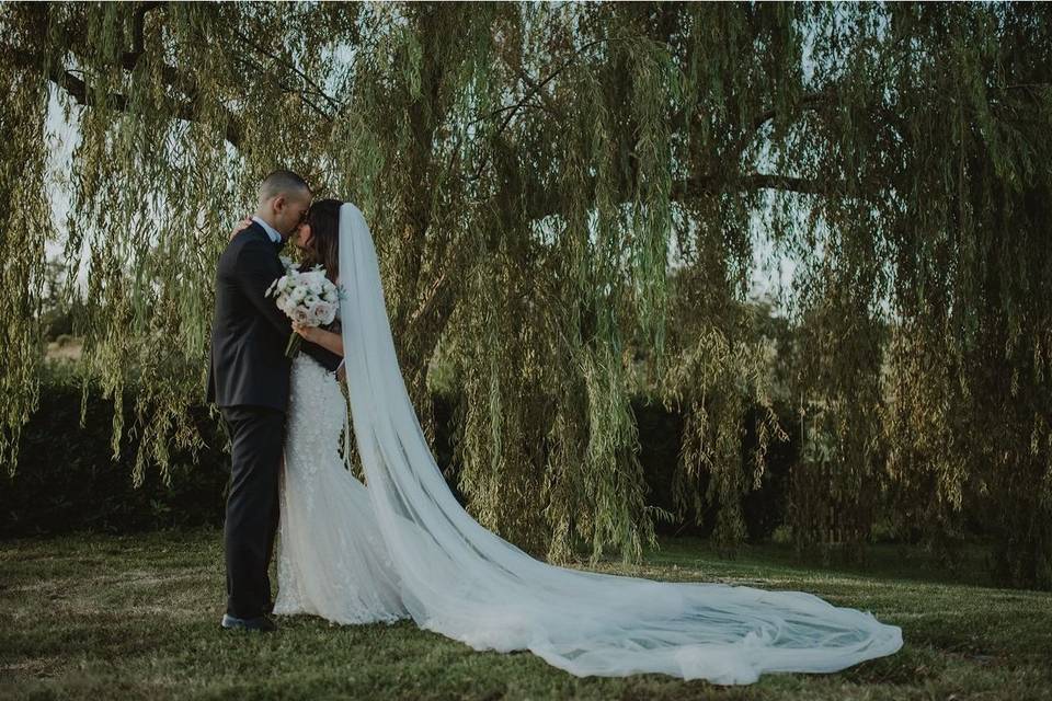 Kiss under the willow tree