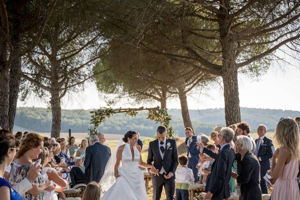 Wedding under the pine trees