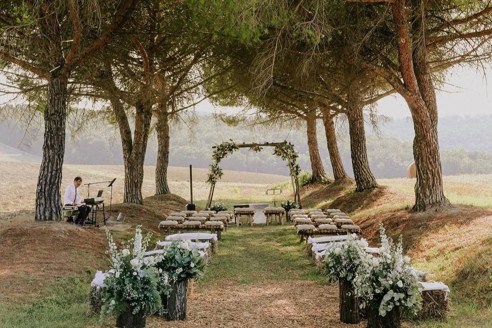 Ceremony under the pines