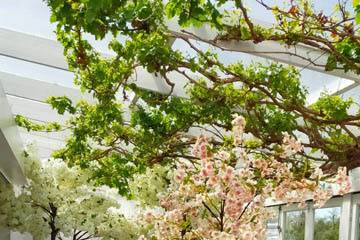 Floral Wedding Arch