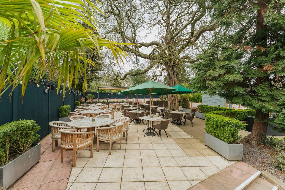 The Rear Garden