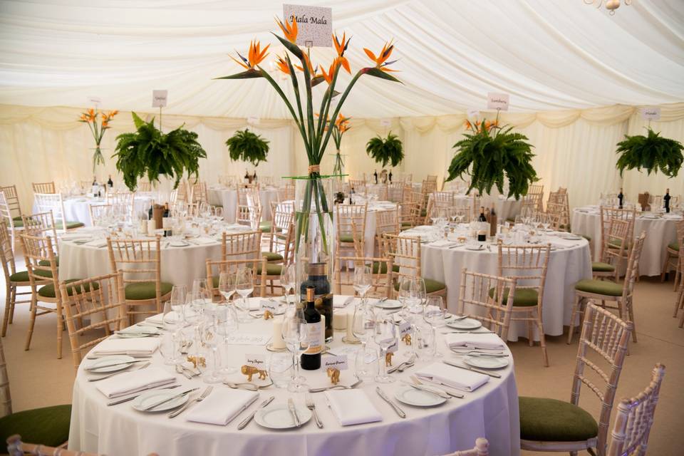 Party Marquee Interior