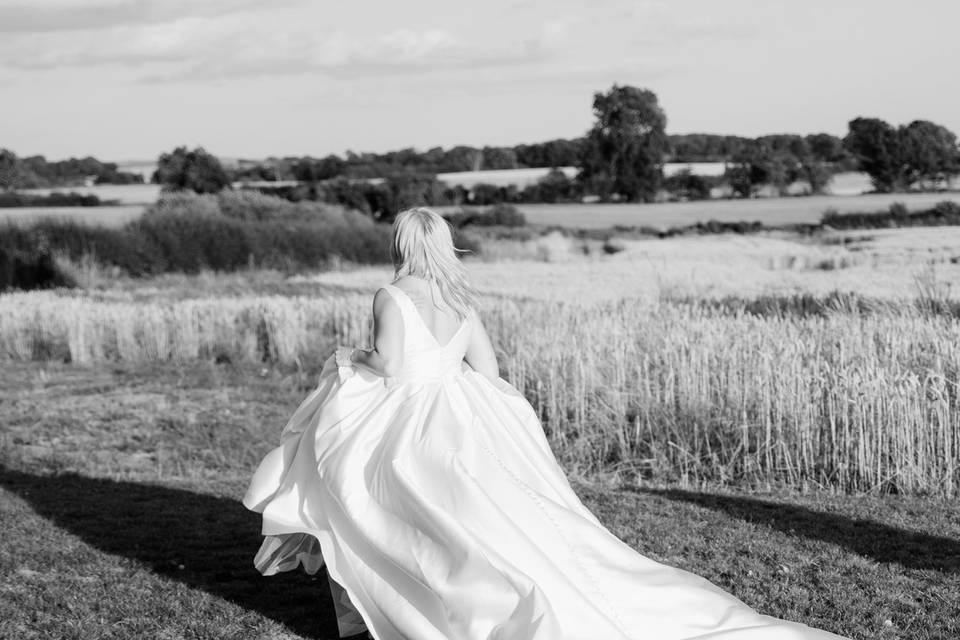 Wheat Fields