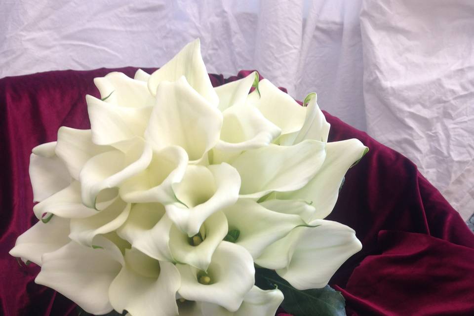 Bridal cala lilly bouquet