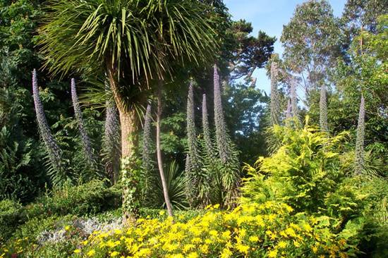 St Michaels Hotel garden