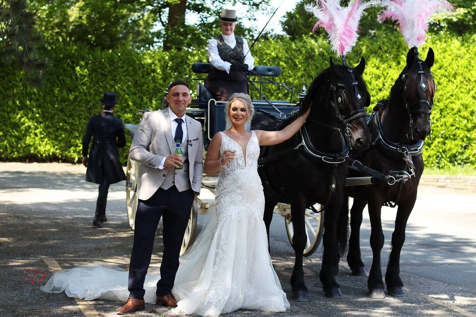 Carriage Arrival