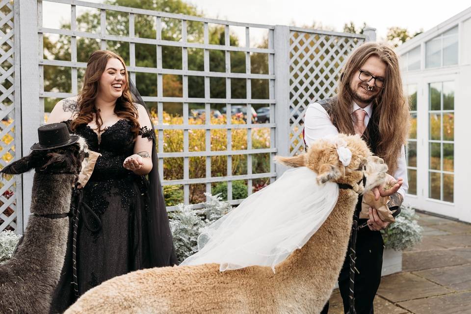 Mr & Mrs Thompson