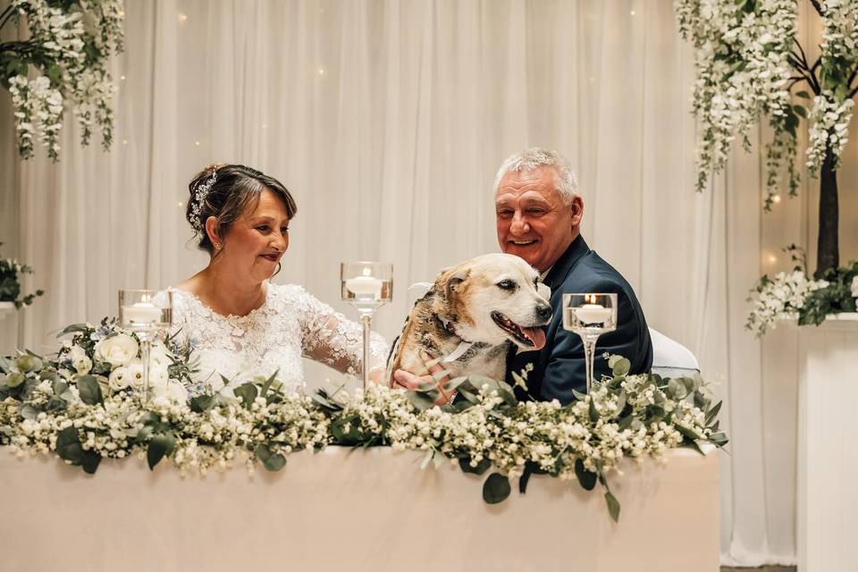 Dog Friendly Ceremony