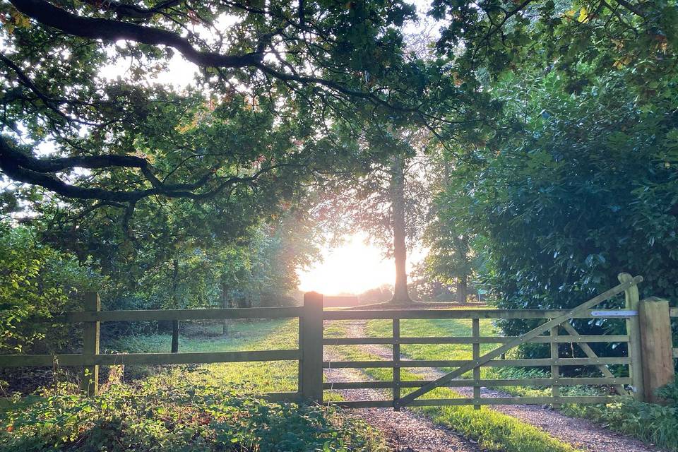 Farm and sunshine