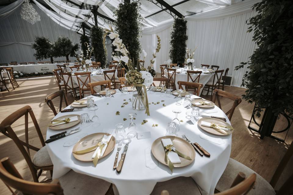 Rustic Plates