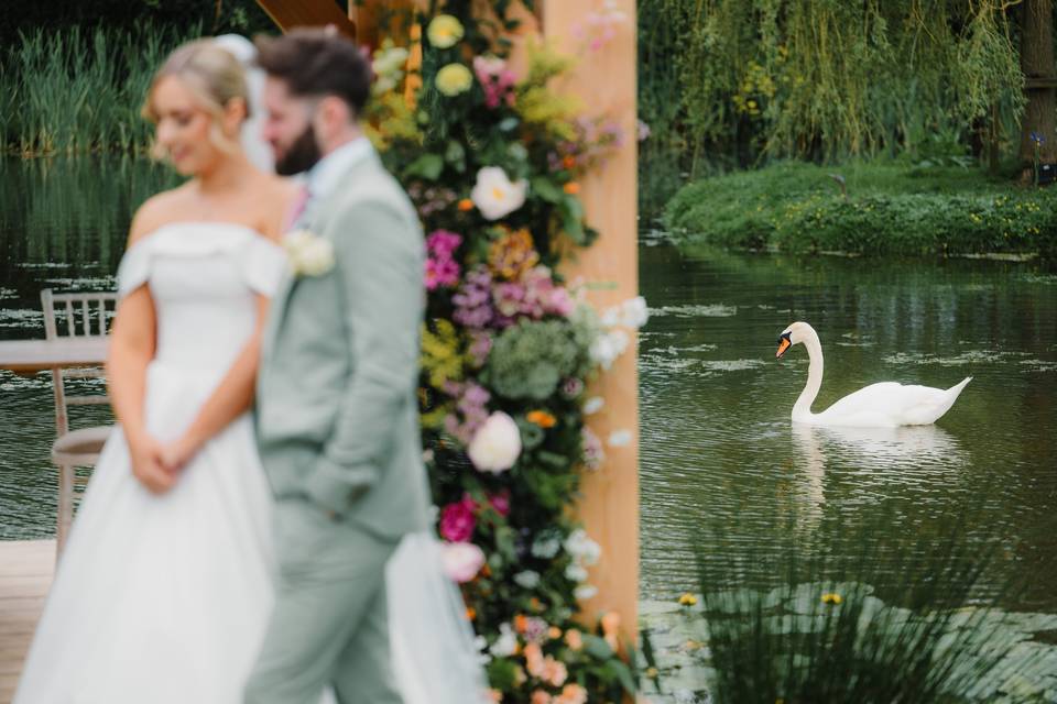 Outdoor swan by couple