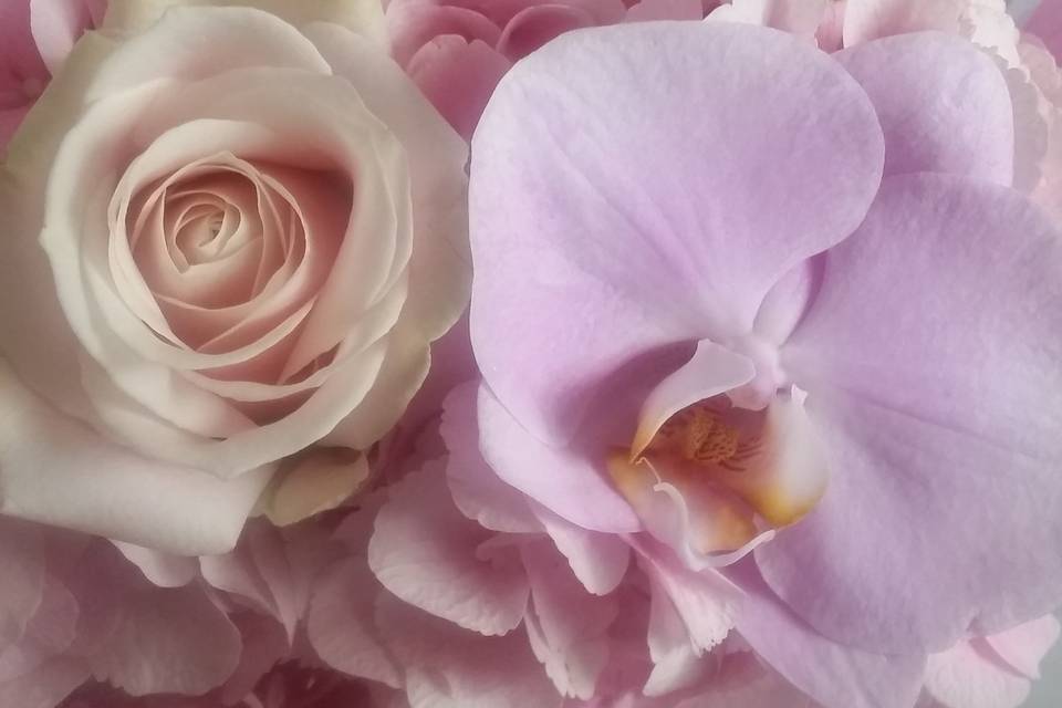 Flowers by Lorraine