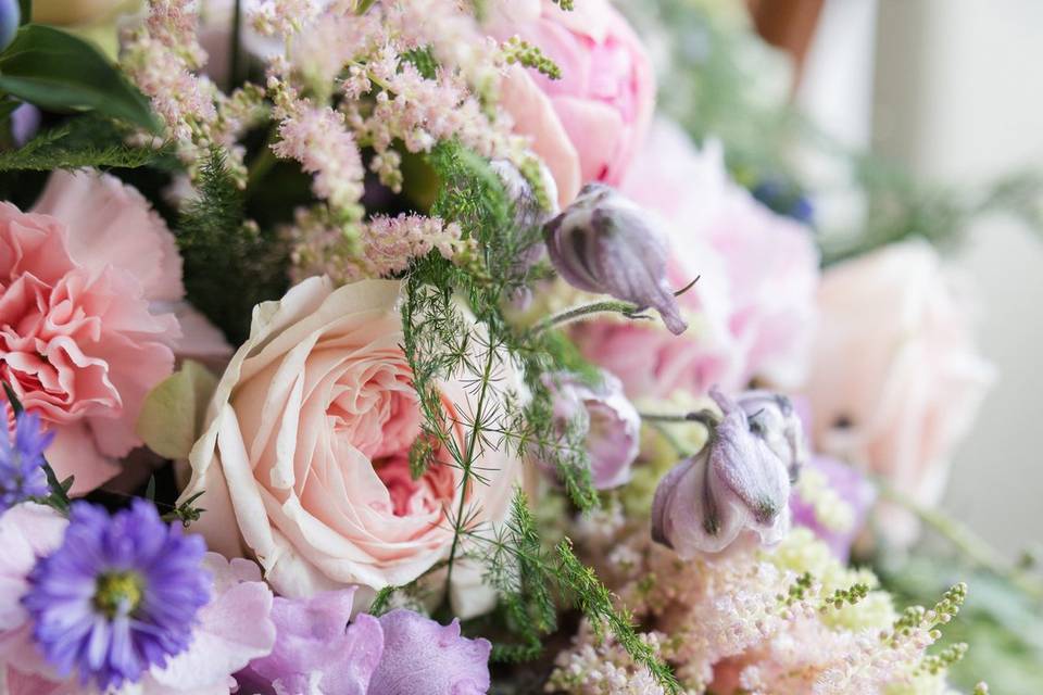 Honey Plum Photography