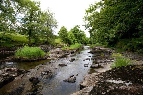 Country House surroundings