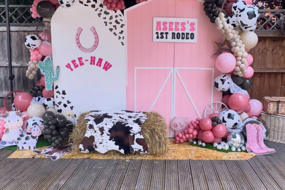 Barn door rodeo