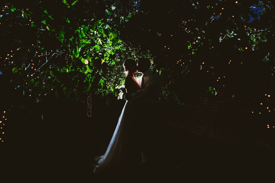 Twilight and Fairy Lights