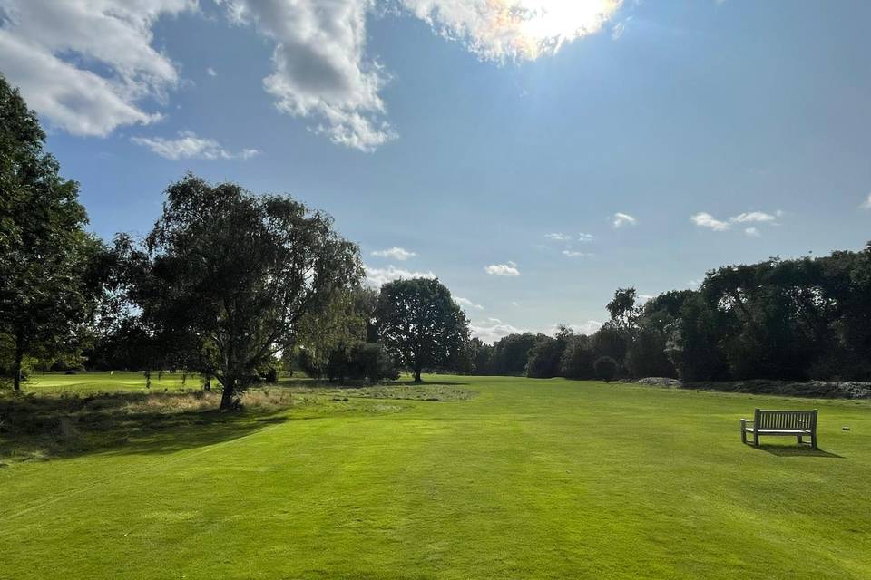 The Course